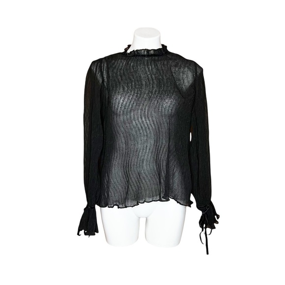 Jane Plus One Sheer Stretchy Blouse With Tied Sleeves - Picture 1 of 5